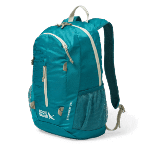 Stowaway Packable 20L Backpack